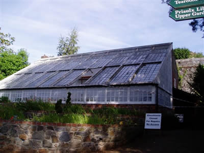 The Candie Greenhouse Before Work Commenced